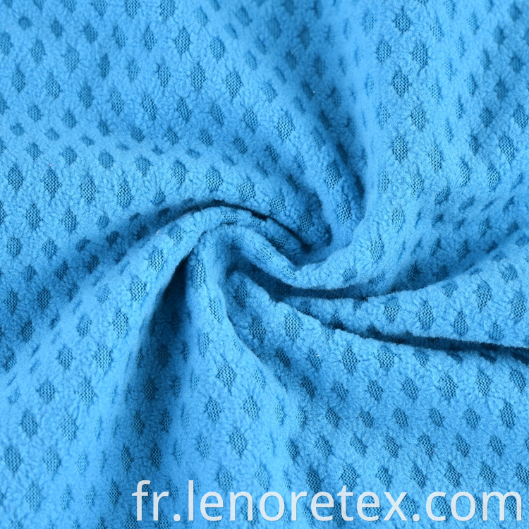 Polar Fleece Fabric